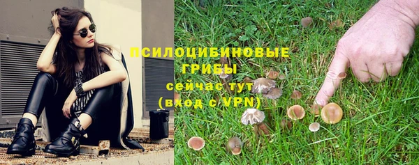 мдпв Медногорск