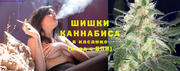 мдпв Медногорск