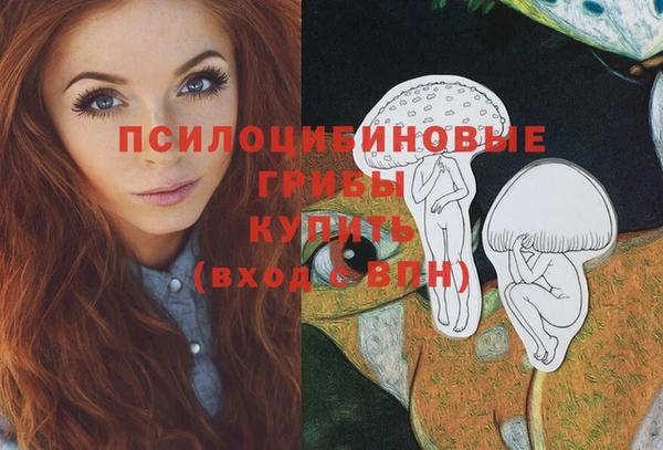 мдпв Медногорск
