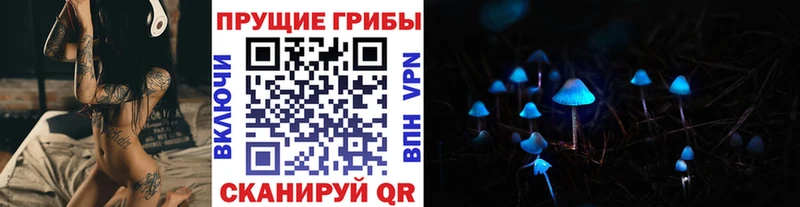 Галлюциногенные грибы Psilocybe  наркота  Сызрань 